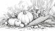 © Wong - autumn still life with pumpkins,simple harvest coloring book page, in simple line drawing, on a white background