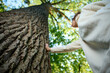© Василь Івасюк - Pretty woman leaning on the old tree. Female hugging huge tree trunk. Girl touches a big tree in a park. Spiritual healing, love nature. Energy recharge in the forest.