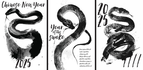 Wall Mural - Year of the snake 2025. Chinese new year poster with painted snake design