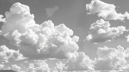 Wall Mural - clouds of white in the sky