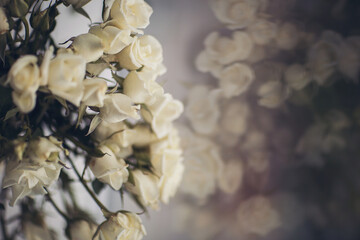 Wall Mural - white roses reflecting on the window with soft diffused light. Reflection of flowers in the window. Festive bouquet