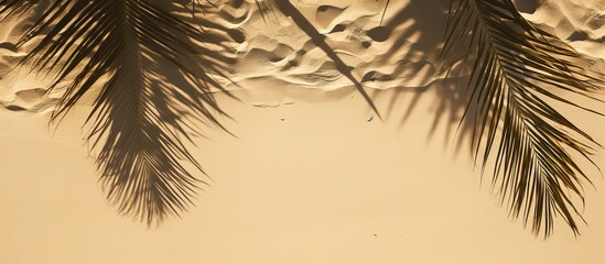 Poster - Top view of a banner casting shadow with palm leaves on sandy beach featuring ample copy space image