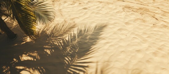 Poster - Top view of a banner casting shadow with palm leaves on sandy beach featuring ample copy space image