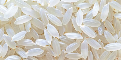 Wall Mural - Abstract background rice structure healthy food