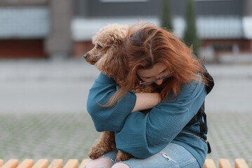 Wall Mural - red poodle sitting on wooden bench with owner in street, young caucasian redhead woman in jeans and blue blouse hugs gently her dog, pet care concept