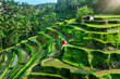 © tawatchai1990 - Tourist in red dress walking on tegalalang rice terrace in Bali, Indonesia.