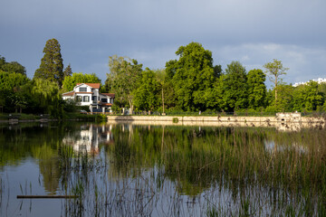 Wall Mural - lake in the park