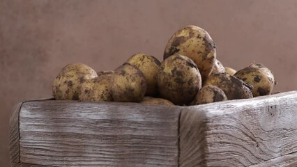 Poster - hands place organic potatoes roots from crate in box delivery food