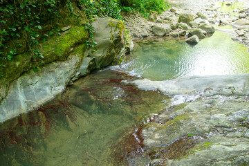 Wall Mural - Mountain river with stones in summer