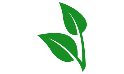 Wall Mural - green leaf logo icon