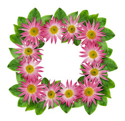 Wall Mural - Pink chrysanthemum flowers and green leaves in a floral frame isolated on white or transparent background