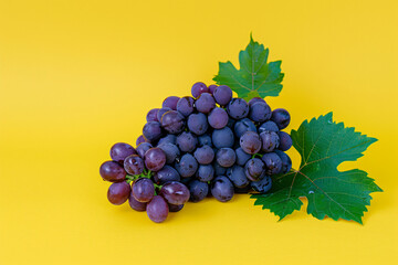 Wall Mural - grapes isolated on yellow background