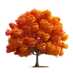 Poster - Autumn Tree