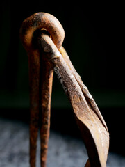 Wall Mural - close-up of rusty nail of old hinge in dark
