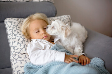 Sick child, toddler boy lying on the couch with his white puppy in living room with fever, resting