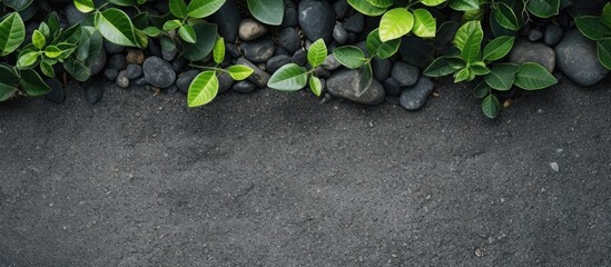Aufkleber - Green plants on gravel. Creative banner. Copyspace image