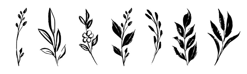 Set of retro branches and leaves. Silhouettes of hand drawn artistic field herbs in black ink. Vintage botanical florals.