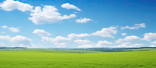 Poster - Meadows and sky. Creative banner. Copyspace image