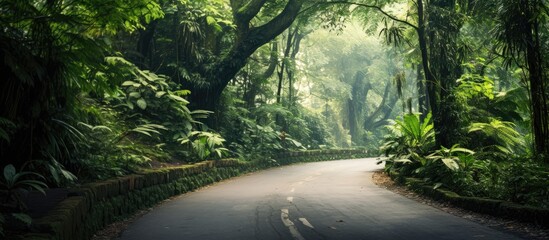 Poster - an image of the lane with plants around it. Creative banner. Copyspace image