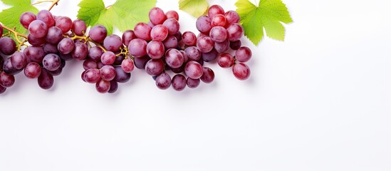 Poster - Fresh ripe grapes on white background. Creative banner. Copyspace image