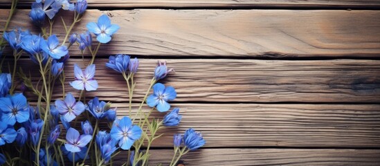 Poster - Blue wildflowers lie on natural wooden boards Close up. Creative banner. Copyspace image