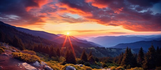 Poster - Sunset Mountain Sky with Trees and Clouds. Creative banner. Copyspace image