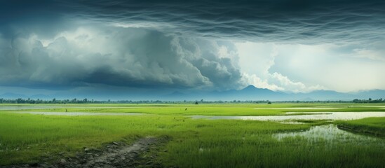 Poster - Rain cloud in the farm land. Creative banner. Copyspace image