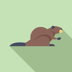 Poster - Brown beaver standing on four legs, side view, flat design illustration