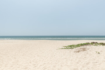 Wall Mural - tropical island with beautiful beach in the morning.