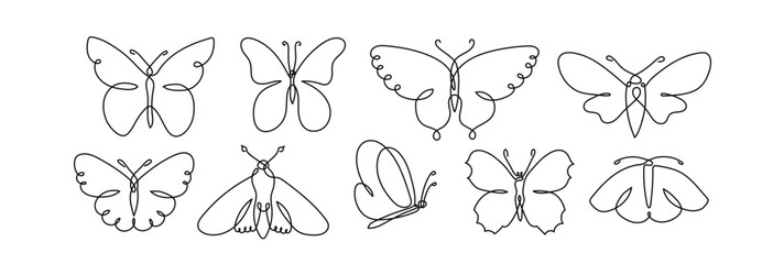 Poster - Butterfly art in continuous line vector illustration set. Moth insect
