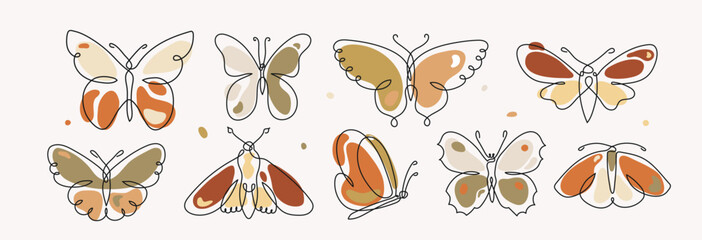 Poster - Butterfly art in continuous line with colorful organic shapes, vector