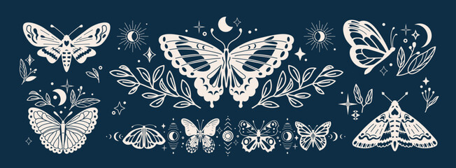 Mystic butterfly set vector illustration. Magic moths with celestial