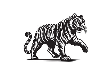 tiger illustration