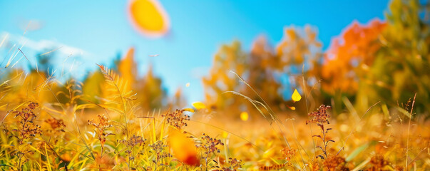 Wall Mural - Bright autumn background with a field of goldenrod, a clear blue sky, and scattered leaves.