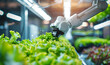 © taiba - Smart farming agricultural technology Robotic arm harvesting hydroponic. Smart Robot Farmer in Organic Garden. Smart farming agricultural technology Robotic arm harvesting hydroponic