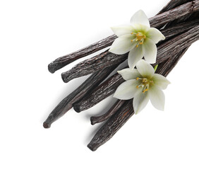 Wall Mural - Vanilla pods and flowers isolated on white, top view