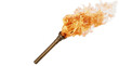 © Tahir - Torch flame icon or symbol design on transparent background
