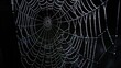 © AkuAku - Creepy spider web against a black backdrop