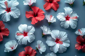 Poster - Minimalist arrangement of white and red hibiscus flowers on a clean pastel backdrop, representing women's wellness.