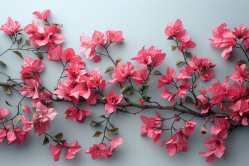 Poster - Elegant composition of pink and red bougainvilleas on a light grey backdrop,