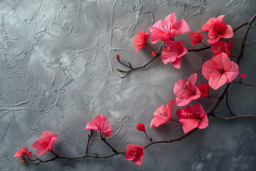 Poster - Elegant composition of pink and red bougainvilleas on a light grey backdrop,