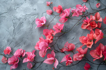 Poster - Elegant composition of pink and red bougainvilleas on a light grey backdrop,