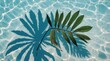 © sanstudio - palm tree shadows on the water. Palm tree shadow on a Blue water