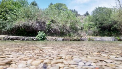 Wall Mural - A body of water with a rocky shoreline and trees in the background. The water is calm and clear, and the rocks on the shoreline are scattered throughout the area. The scene has a peaceful