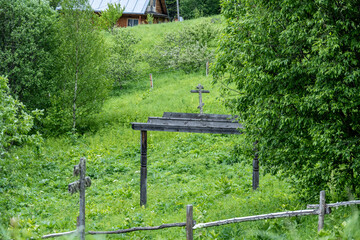 Wall Mural - typical summer landscape with mountains, lake and forest in the area of ​​Lake Teletskoye in Altai