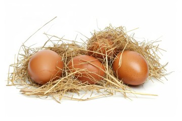 Wall Mural - three brown chicken eggs nestled in dry grass isolated on white background cutout