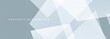 © Biod - Soft grey modern abstract wide banner with white geometric shapes. Gray and white presentation abstract background. Pastel colored vector illustration