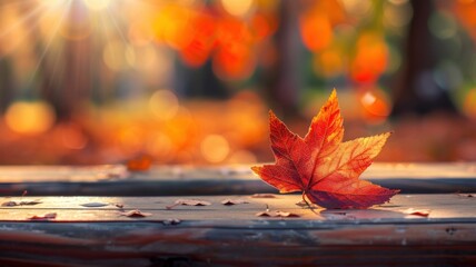 Wall Mural - Close up image of a fallen autumn leaf on a wooden bench with blurred background. Leaves falling in autumn season background.
