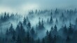 © Pha - The pine tree forest fog in season background.