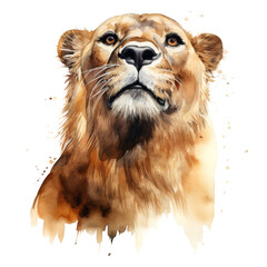 Wall Mural - lioness watercolor isolated on transparent background cutout